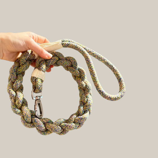 Hand holding a braided dog leash with a metal clip on a beige background