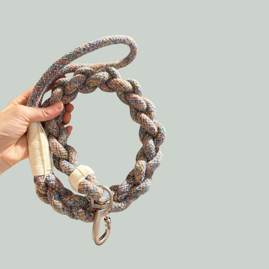 Hand holding a braided rope leash against a light gray background