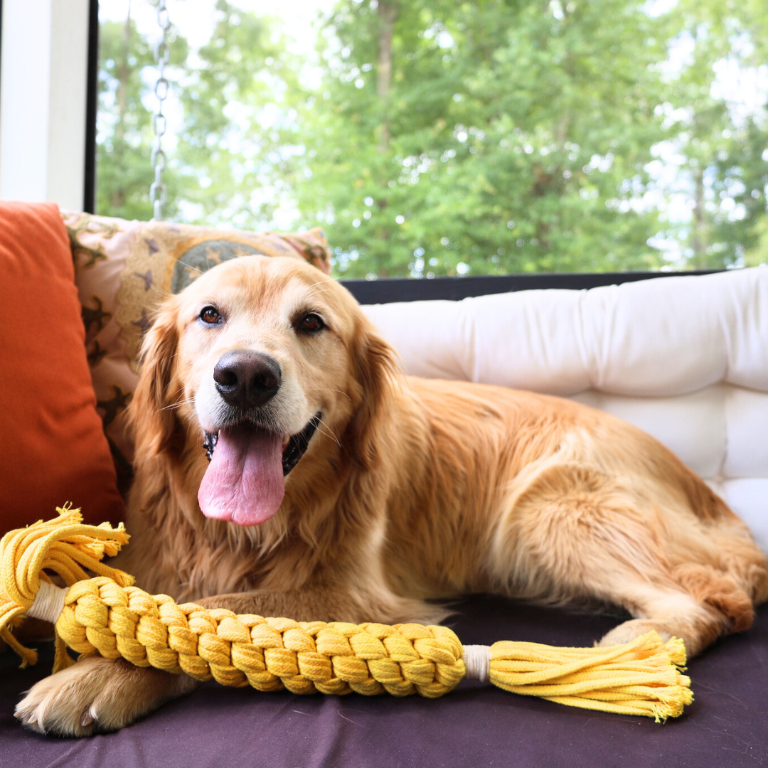 Yellow large candy-shaped cotton rope woven pet toy, perfect for interactive play and dental health.