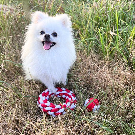Christmas series cotton rope woven pet toy. Front view image showing the detailed craftsmanship and festive design, perfect for holiday enjoyment and pet playtime. Ideal for adding a seasonal touch to your pet's toy collection.