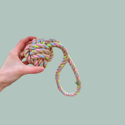 Hand holding a braided rope toy with colorful knots against a light green background
