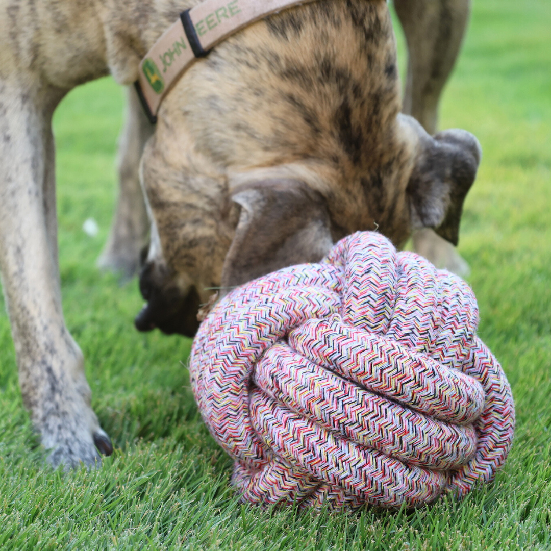 Bean Red Bliss Rope Ball Toy - Cotton Rope Woven Pet Toy. Front view showcasing intricate rope weaving, durable construction, and vibrant red color, perfect for interactive play and promoting dental health for pets. Ideal for dogs.