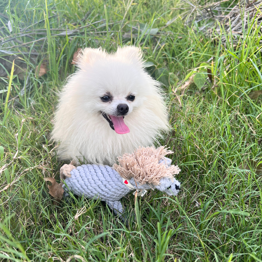 Gray horse cotton rope braided pet toy, perfect for your furry friends' playtime!