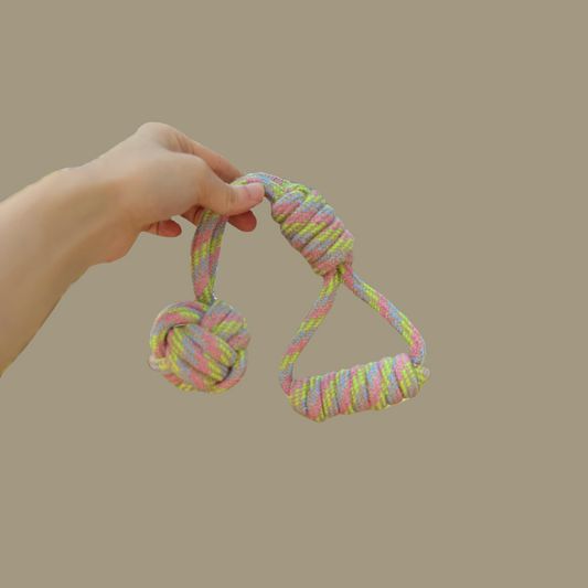 Hand holding a colorful knotted rope toy against a beige background