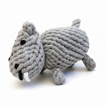 Gray hippo with white background