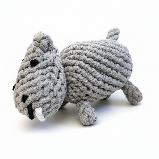 Gray hippo with white background