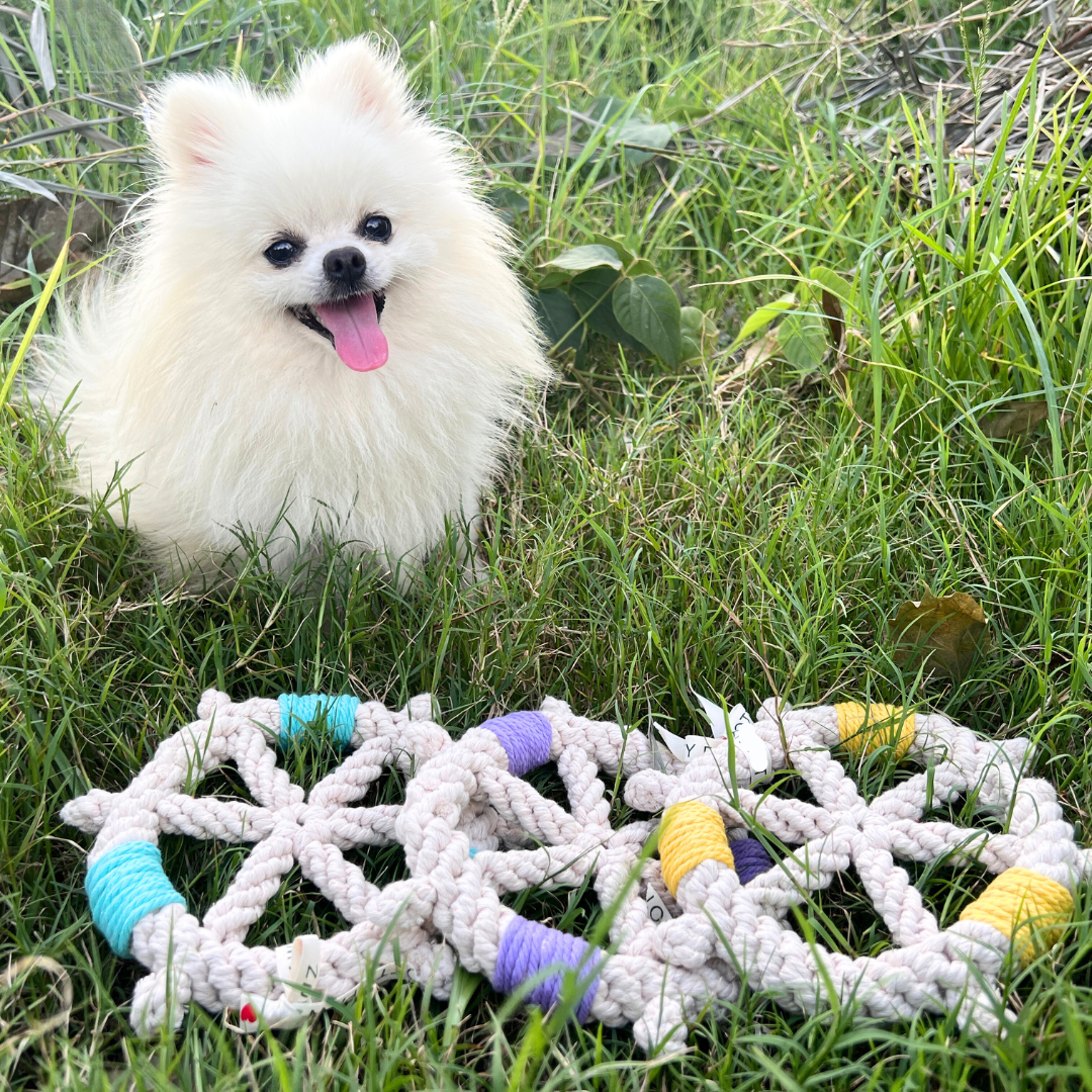 Pet Rope Rollo Pet Color wheel Macrame Rope Pet Toy|Handmade Dog Rope Toy