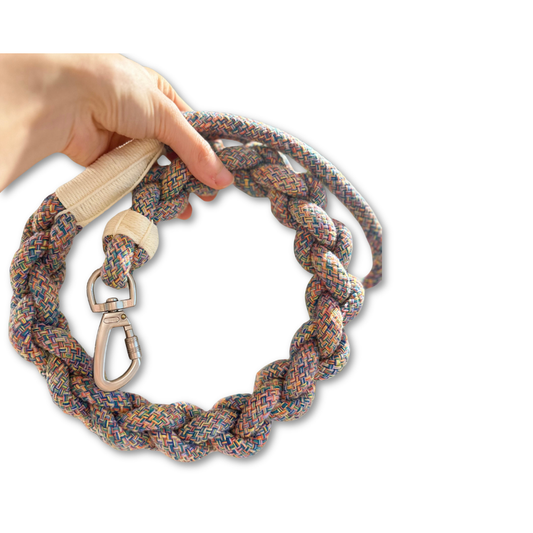 Multicolored braided dog leash with a metal clip held by a hand on a white background