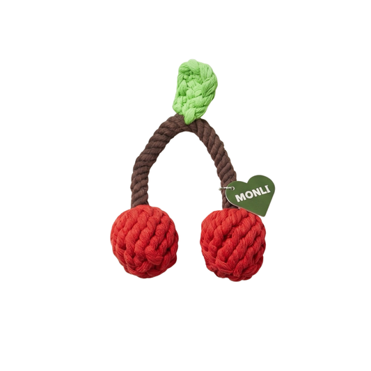 Dog toy resembling cherries with a rope and green top on a white background