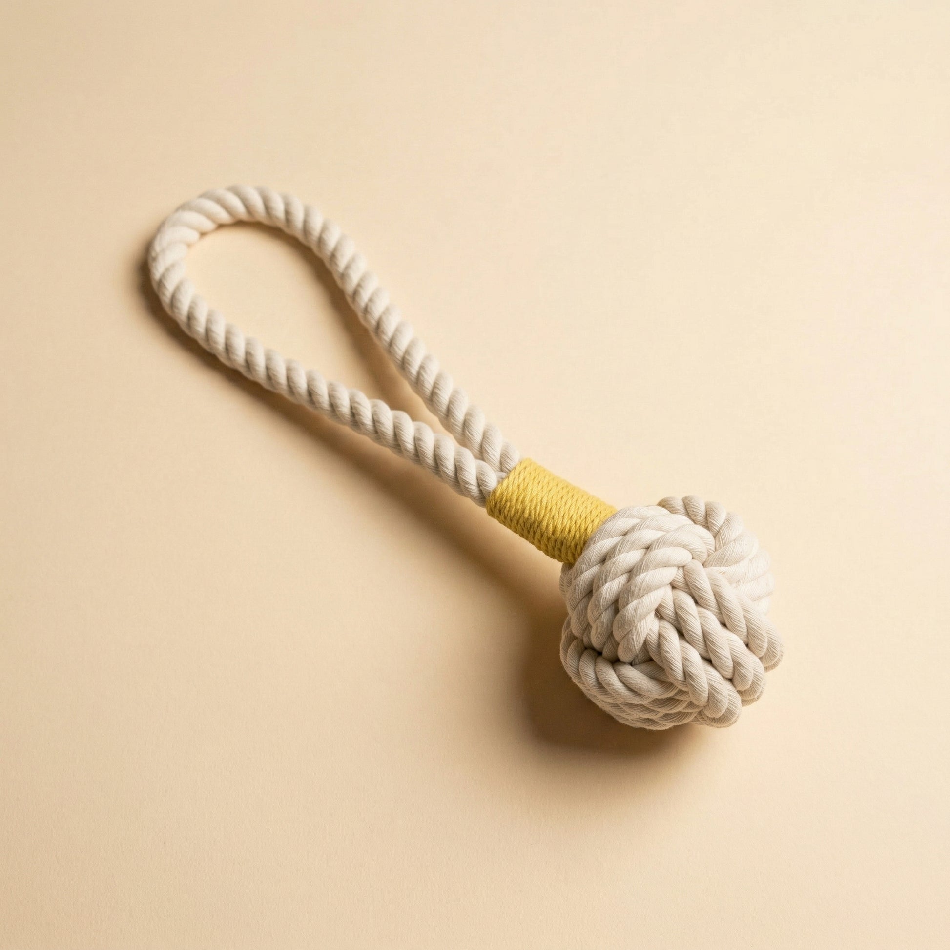 Dog toy with a rope and knotted end on a beige background