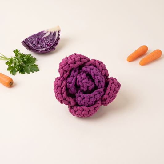 Monli Purple Cabbage Snuffle Pet Toy