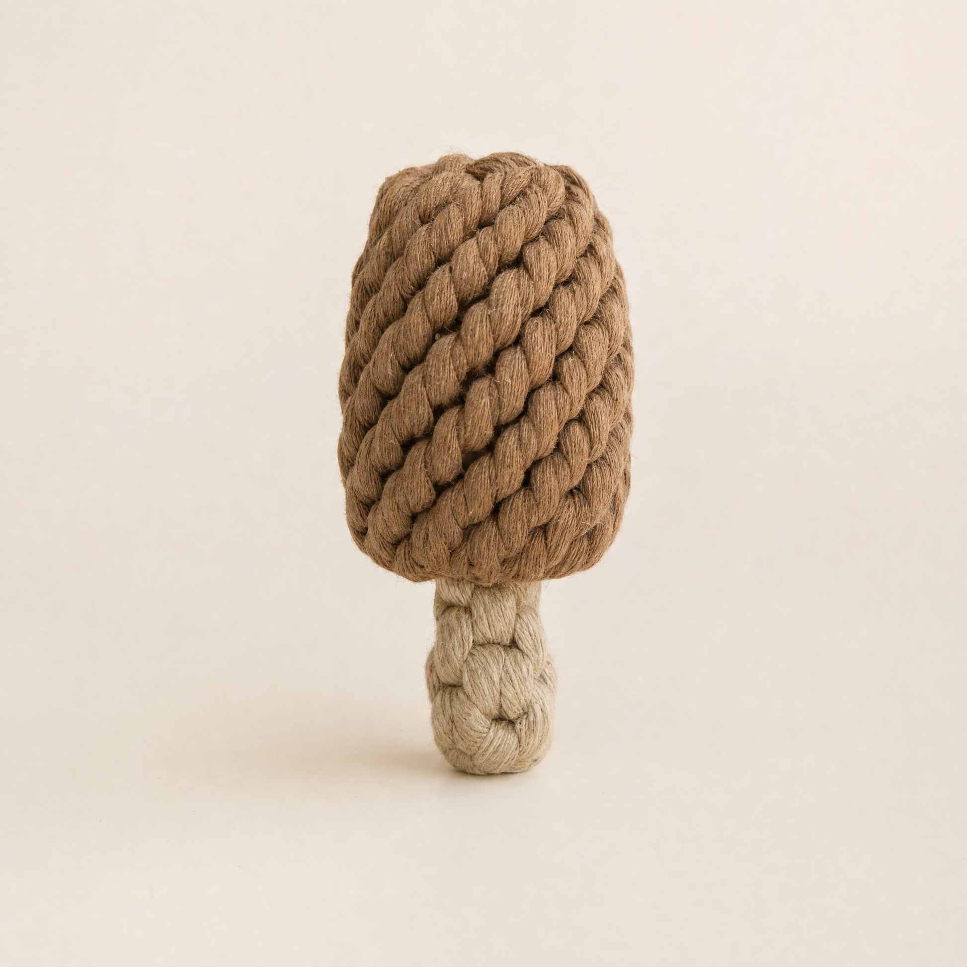 A ice cream bar shaped dog toy made of thick braided rope, featuring a brown cap and a beige stem, set against a solid light beige background.