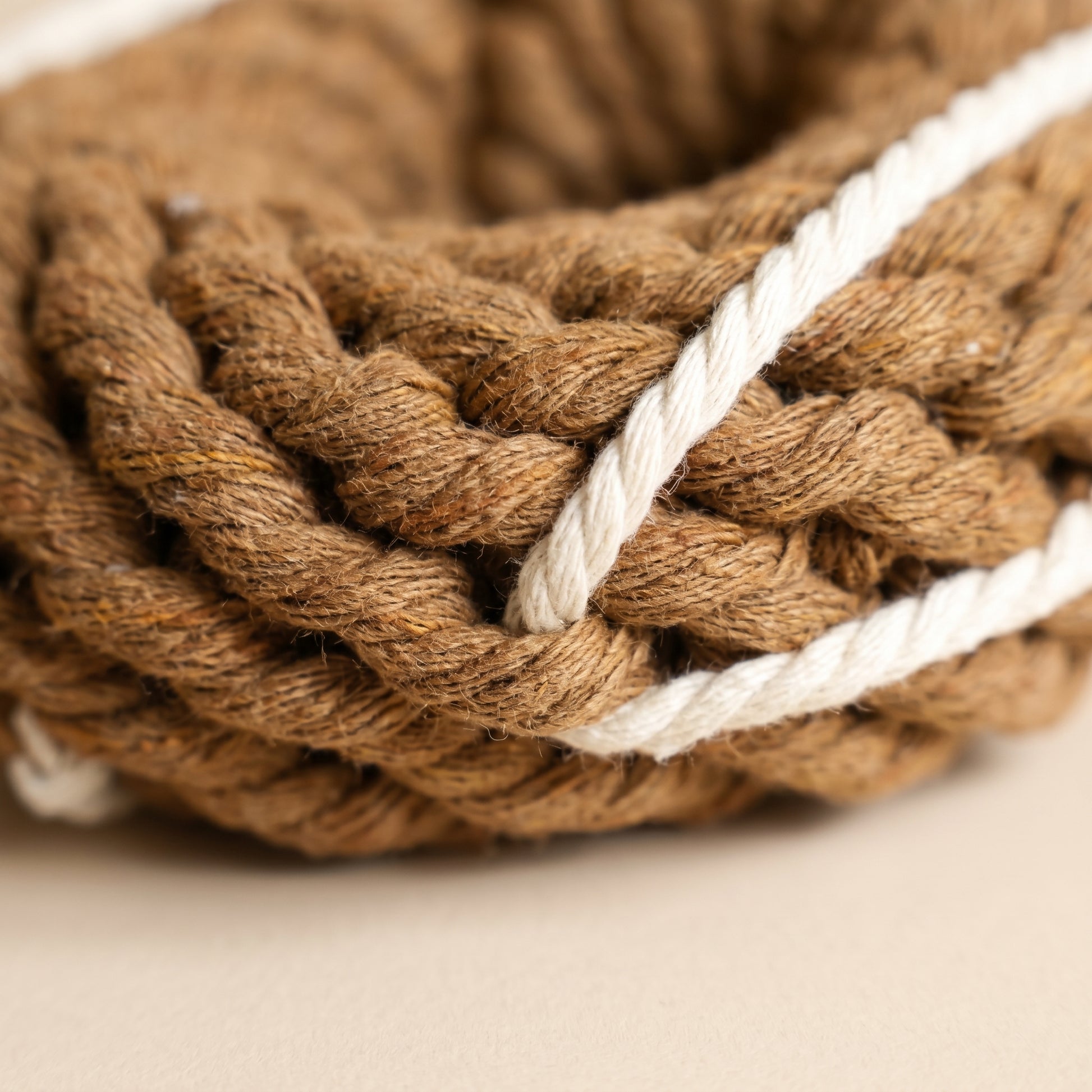 Close-up of a brown rope with a white stripe on a beige background