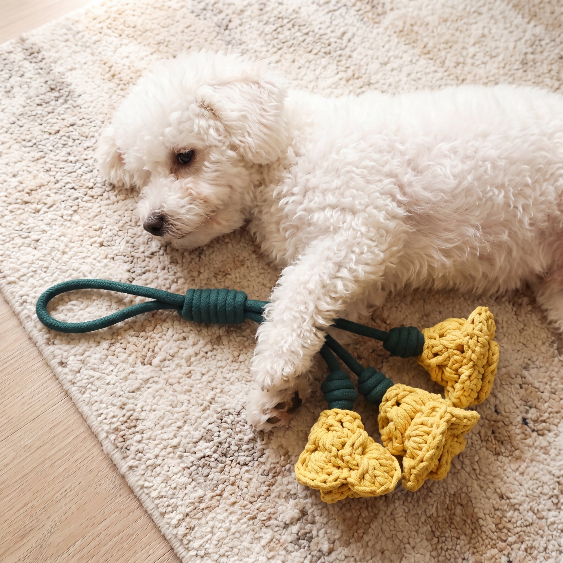 A small white dog lies on a beige textured rug while playing with a green rope toy attached to three yellow crocheted flower-like pulls.