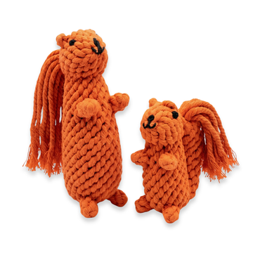 Squirrel rope toy on a white background