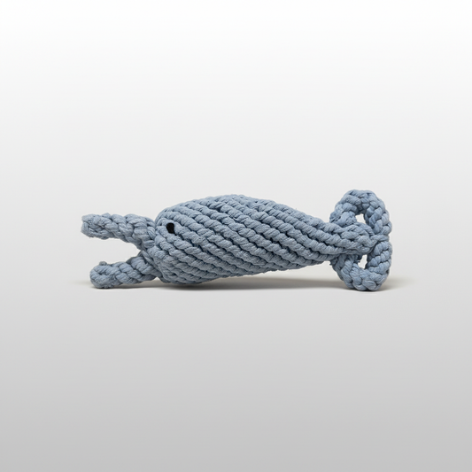 Blue rope dog toy on a light gray background